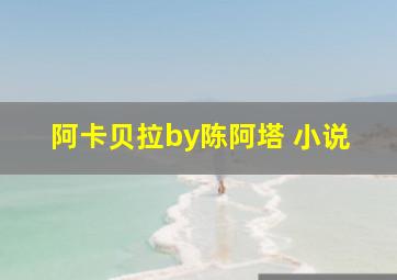 阿卡贝拉by陈阿塔 小说